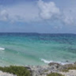 Meet your Posher, Cassie